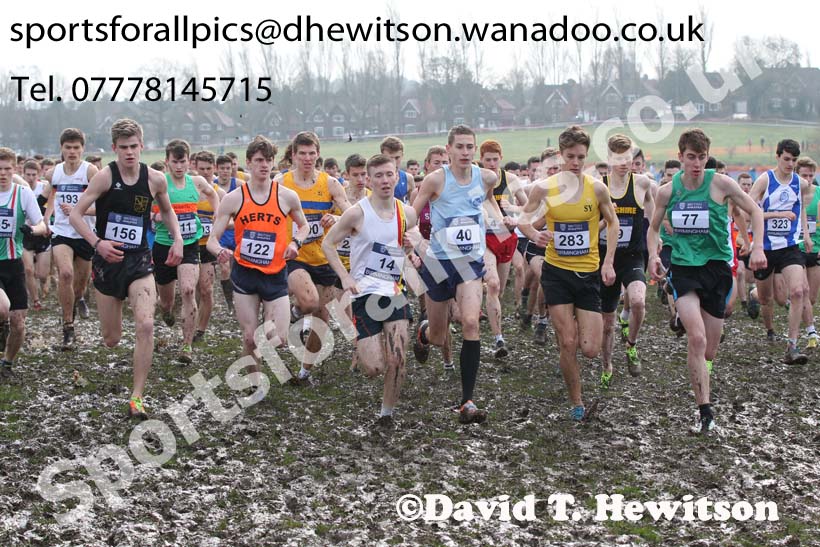 Start of the under-20 mens Inter Counties Cross Country, Cofton Park, Birmingham. Photo: David T. Hewitson/Sports for All Pics